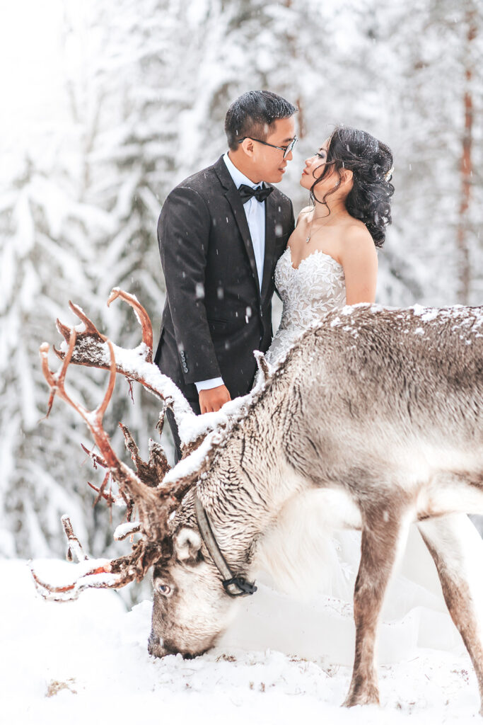 Why Choose Finland for Your Wedding or Proposal?